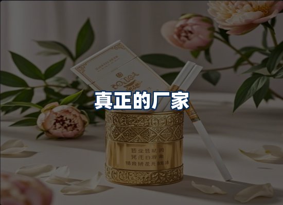专业团队办公环境